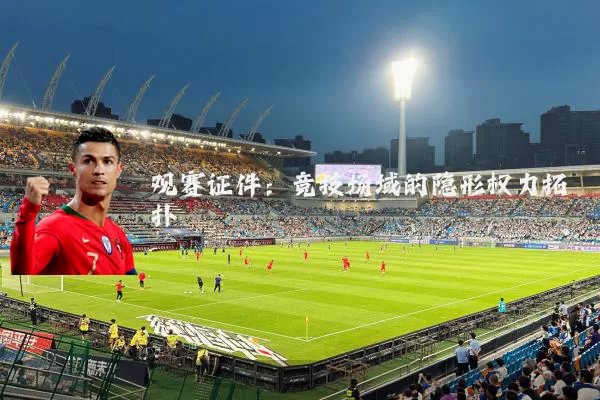 观赛证件：竞技场域的隐形权力拓扑